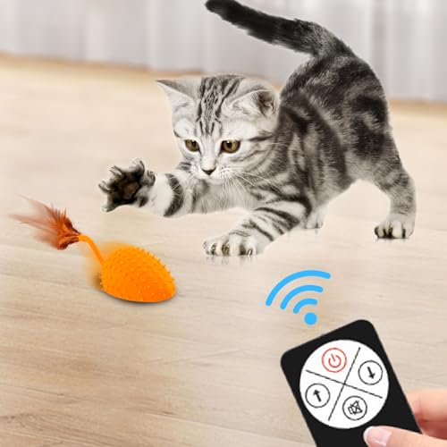 Jouet interactif pour chat télécommandé sonore pour cour et balcon - 3