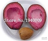 Pack semillas-fÃ¡cil de cultivar