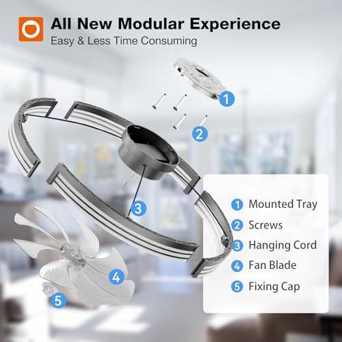 Image of addlon Ceiling Fans with Lights and Remote, 24'' Low Profile Ceiling Fans, 3000-6000K Dimmable Modern Flush Mount LED Fan Light, Fandelier Ceiling Fan for Bedroom, Kitchen, Living Room