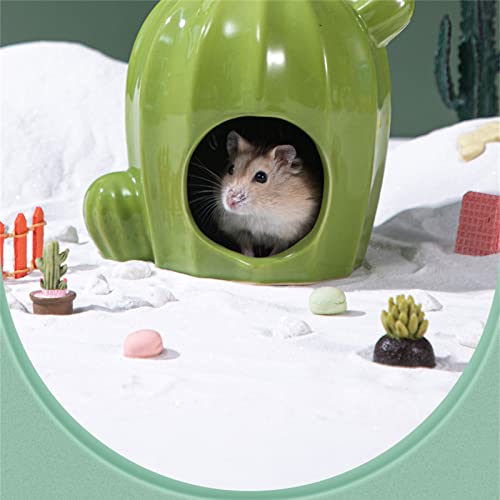 Nid de cochons d'Inde et hamsters : l'accessoire fraîcheur pour l'été - 7