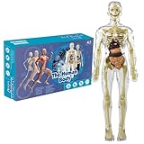 Organes et squelettes amovibles : grâce à l'assemblage pratique d'organes humains, les enfants voient le corps humain et son anatomie fascinante prendre vie..Notre modèle anatomique 3D captive les jeunes esprits, faisant de l'étude des parties du corps, des organes, des muscles et des os une expérience agréable.