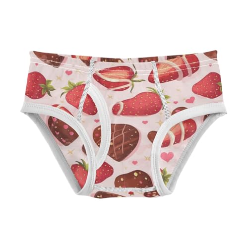 Wusikd Strawberry Chocolate Boys' Underwear Cotton Hearts Boys Briefs Soft Toddler Underwear 2T