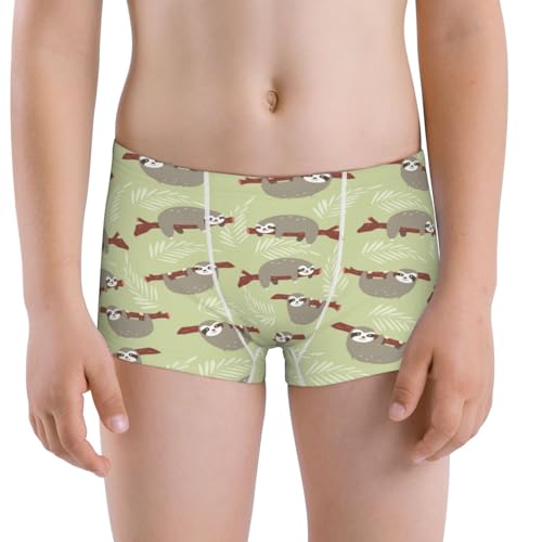 Boys' Cotton Boxer Brief Soft Underwear-Twig Sloth
