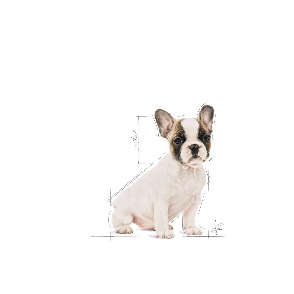 ロイヤルカナン BHN フレンチブルドック 子犬用ドッグフード