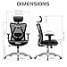 SIHOO M18 Ergonomic Office Chair for Big and Tall People Adjustable Headrest with 2D Armrest Lumbar Support and PU Wheels Swivel Tilt Function Black