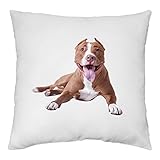 YONACREA - Coussin 40x40cm - Pitbull - American Staff (avec garnissage)