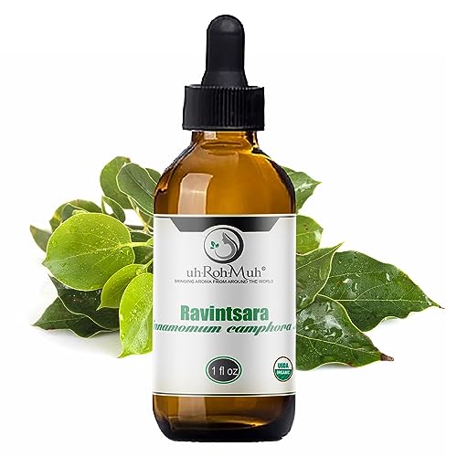 Aceite esencial puro orgánico Ravintsara 1 Fl Oz miniatura 1