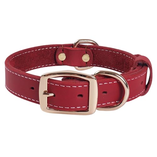 Robustes Hundehalsband aus Echtem Leder –vVerstellbares Design,Weich und Strapazierfähig mit Metallschnalle und D-Ring für Kleine, Mittlere und Große Rassen (Rot, L)