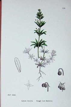 tricorene compresse amazon