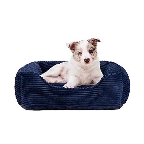 INVENHO Rectangle Dog Bed for Small Medium Large Dogs Cats Machine Washable Comfortable Dog Beds Non-Slip Bottom Breathable Thickened Durable Pet Bed Calming Sleeping Puppy Bed 25″×21″×8″ INVENHO Rectangle Dog Bed for Small Medium Large Dogs Cats Machine Washable Comfortable Dog Beds Non-Slip Bottom Breathable Thickened Durable Pet Bed Calming Sleeping Puppy Bed 25″×21″×8″