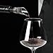 Wine Aerator Pourer | Premium Aerating Spout and Decanter Set - Improve Taste and Smell Immediately,Perfect Wine Gift(2PCS)- Black