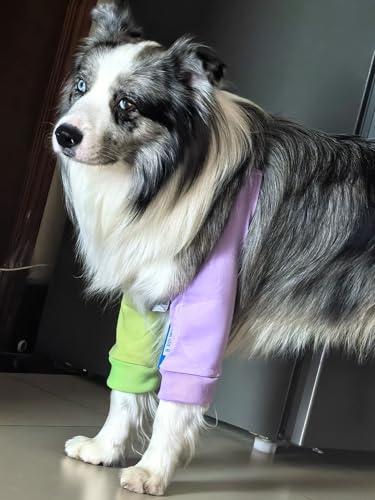 Image of Dog Elbow Pads Knee Protector Wraps Elbow Callus Treatment Sleeve for Wounds Front Legs Stop Licking Medium Large Dogs 2XL, Purple