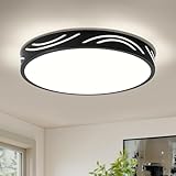 Modern Dimmable Ceiling Light Fixture,5CCT in One LED Flush Mount Kitchen Lights,Round Close to Ceiling Lamp for Hallway Entryway Bedroom Living Room Laundry Room Bathroom(Black,11.81 in,ETL Listed)