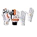 CW Century 11PIECES Cricket KIT Set with Wheel Bag Cricket KIT Official Club Complete Set College Cricket KIT Set Full Size for Men Youth & Adult Cricket Set