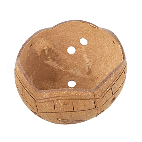 ifundom Colgando Una Olla De Flores Suculentas Suculento Fibra De Maceta Colgante Palma De Planta Maceteros Maceta De Bonsai Decorativa Cascara De Marrón