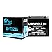 Replacement 2007 Polaris Phoenix, Sawtooth 200 CC Factory Activated, Maintenance Free, ATV Battery - 12V, 10Ah, UB-YTX12-BS