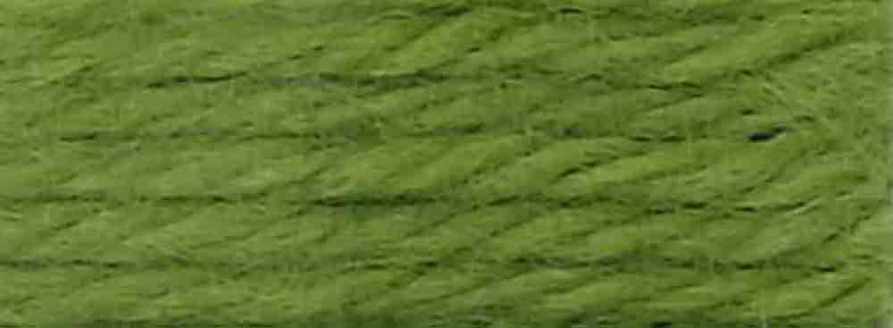 DMC 486-7769 Tapestry and Embroidery Wool, 8.8-Yard, Dark Pistachio Green
