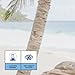Designer Patio & Gazebo 6ft x 10ft Backdrop Screen - Stairs to Paradise Beach