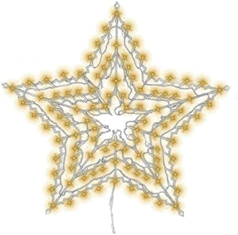 FB FunkyBuys Christmas Star 100 Led Lights Indoor/Outdoor Christmas Decorations Multicolor Blue & White/Warm White Star Silhouette Window Decoration with Light Controller (Warm White)