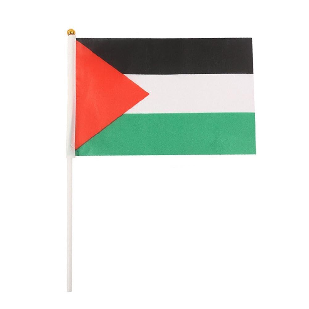 Palestina bandiera palestinese con palo I Stand mano sventolando