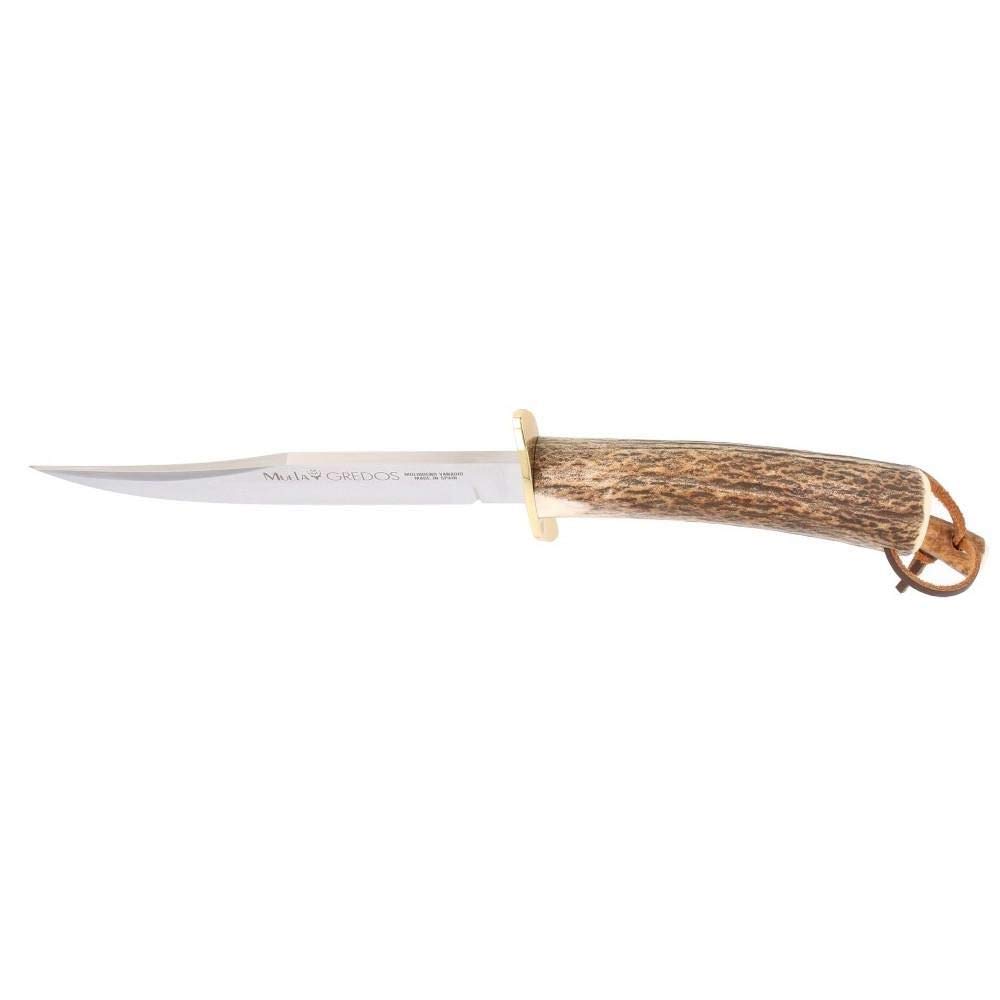 Muela Cuchillo de caza GRED-16 con hoja de acero inoxidable ACX-380 de 16 cm y empuñadura de madera de olivo para Caza, Pesca, Supervivencia y Bushcraft + Portabotellas de regalo