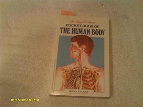 Human Body view 2