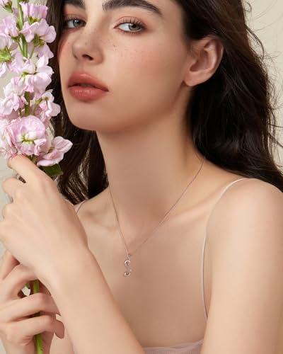 Mesovor 925 Sterling Silver Initial Necklace for Women, Dainty Sterling Silver Letter Cubic Zirconia Necklace Jewelry Gifts for family Mother Sister Wife - Image 5