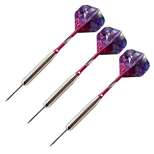 Fléchettes professionnelles 25g aiguilles en six packs complets avec coffret