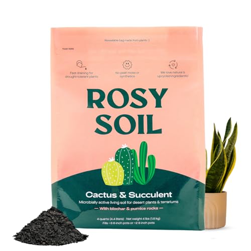 Cactus and Succulent Organic Potting Soil Mix for House Plants