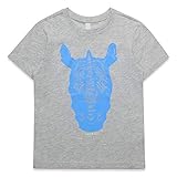  ESPRIT KIDS Jungen SS T-Shirt, Silber (Heather Silver 223), 152 (Herstellergröße: M)