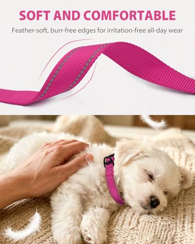 Joytale Dog Collars for Small Dogs, Feather-Light Double-Sided Reflective Nylon Collar for Night Safety, Adjustable Quick-Release for Growing Puppies, Hotpink, S (5/8" Width) - Image 4