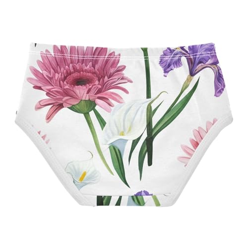 Stylish Toddler Underwear Custom 2t Cotton Panties Little Girl Watercolor Pink Purple Daisies White Kids Briefs Undies2