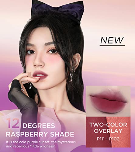 Colorkey Velvety Mousse Fluffy Lip Mud (P112 Go Wild), Matte Lipstick Long Lasting Smooth Velvet Lip Stains Lip Tint Beauty Lips Makeup | Mud Texture, Sunset Warm Colors, Microbow 10° Fluffy Lip Brush #TOP5