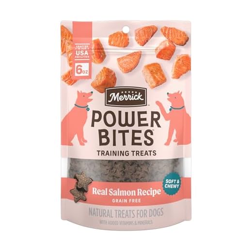 Merrick Power Bites Salmon Recipe Healthy Dog Treats, Real Salmon Grain-Free Dog Snacks, 6 oz Bag