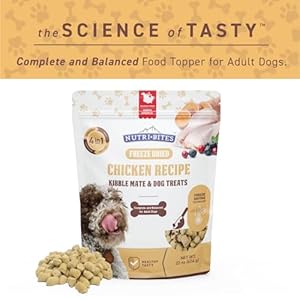 Nutri Bites Freeze Dried Canine Meals Meal Topper, Rooster Recipe 22 oz | Contemporary Wholesome Uncooked Excessive-Protein Pet Meals with Actual Meat | Nice Meal Toppers, Combine-Ins, or Coaching Treats