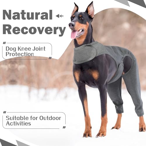 Image of ROZKITCH Back Leg Cover for Dogs Licking for Rear Right Left Leg, Pet Prevent Licking Wound Elbow Protector, Dog Wound Protector Garment Medium for Sprain ACL CCL Arthritis Joint Care Grey M