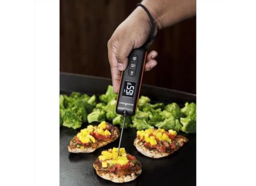 Blackstone Infrared Thermometer with Probe - image 6