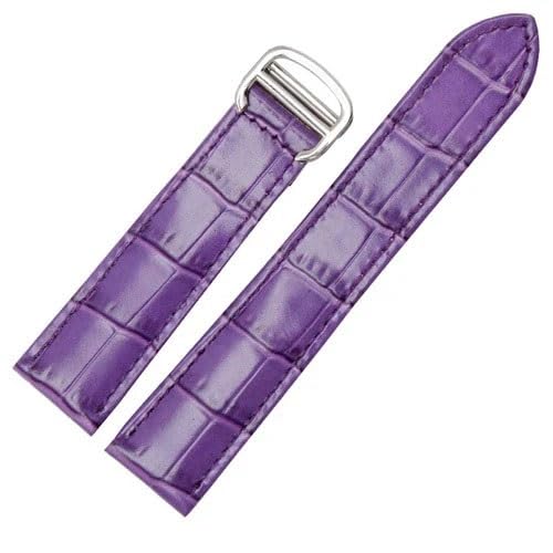 [CFWW] JeBGp ^N\ t@bVuXbgpU[EHb`Xgbv(Purple-silver,22mm)