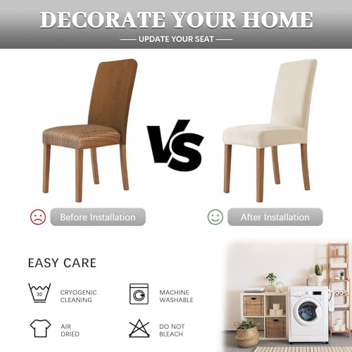 Housse de chaise velours extensible : protégez vos sièges de salle à manger