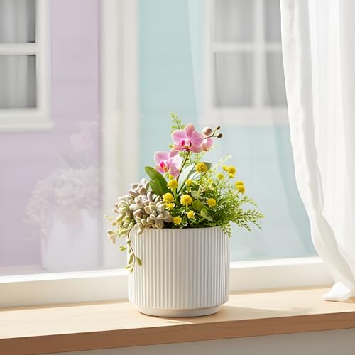 Image of Xtore Striataform Ceramic Ribbed Planter | Contemporary Round Flower Pot for Home, Bedroom, Study Table & Living Room Decor - (White, 1 Piece, Planter ONLY)