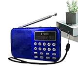 Clarté dynamique exceptionnelle : Haut-parleurs haute définition recréant un environnement sonore multidimensionnel avec des détails acoustiques précis et des basses riches sans distorsion, idéal pour types de programmes radio