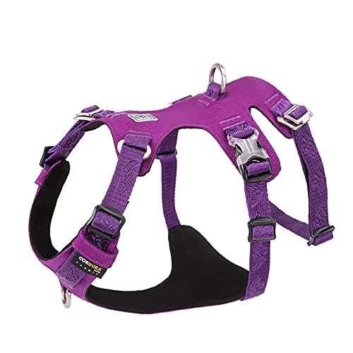 WINHYEPET Waterproof Fabric Dog Harness High Density Nylon Webbing Light-weight Double-H Shape Embroidery 5 Adjustable Positions Easy Control for Small Medium Large Pets YH1807(Purple, XS)