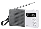 Weckfunktion Unbekannt Diverse Radio SHE Portable Radio SHE-PR301 FM inkl. AKKU grau/Weiss, SHE-PR-301W
