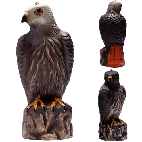 Effaroucheur oiseaux extérieur avec textures claires pour terrasse