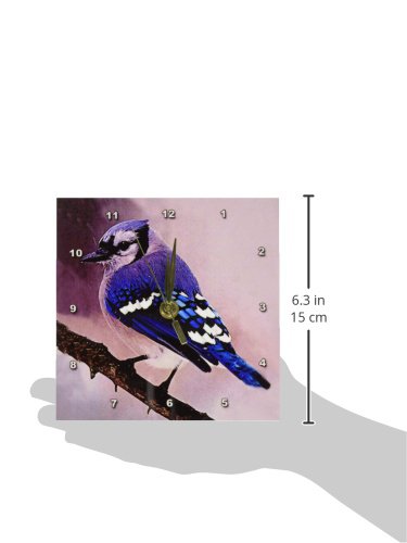 3drose Blue Jay Desk Clock, 6 by 6-Inch