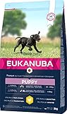 Eukanuba Welpenfutter mit frischem Huhn für große Rassen, Premium Trockenfutter für Welpen, 3 kg