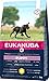 Eukanuba Welpenfutter mit frischem Huhn für große Rassen, Premium Trockenfutter für Welpen, 3 kg