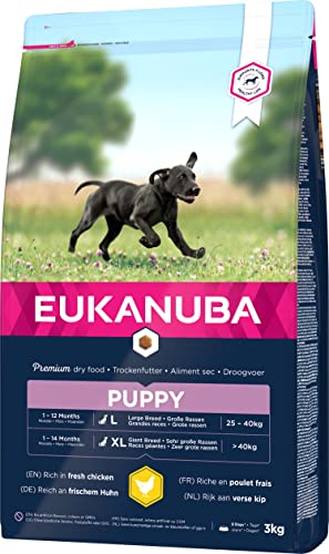 Eukanuba Welpenfutter mit frischem Huhn für große Rassen, Premium Trockenfutter für Welpen, 3 kg