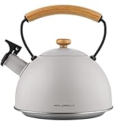 FLORINA Marmite Inox 6 l OLIVER I Diamètre de 24 cm I Convient à l'Induction et tous Les Feux I Casserole Acier Inoxydab 413YgL27lnL. AC SR166,182