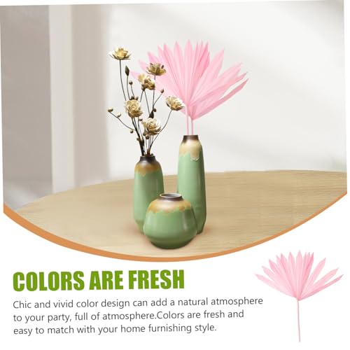 Decoración de Hoja de Palma Seca Rosa Natural para Fiesta miniatura 5